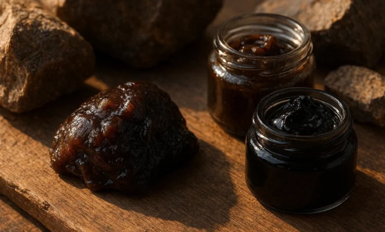 Siladzit 2026: Complete Guide to Shilajit (Mumio)