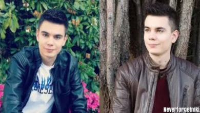 Neverforgetniki 2026: Einfluss, Karriere und Kritik im Überblick