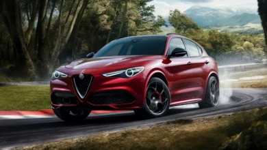 Stelvio Alfa